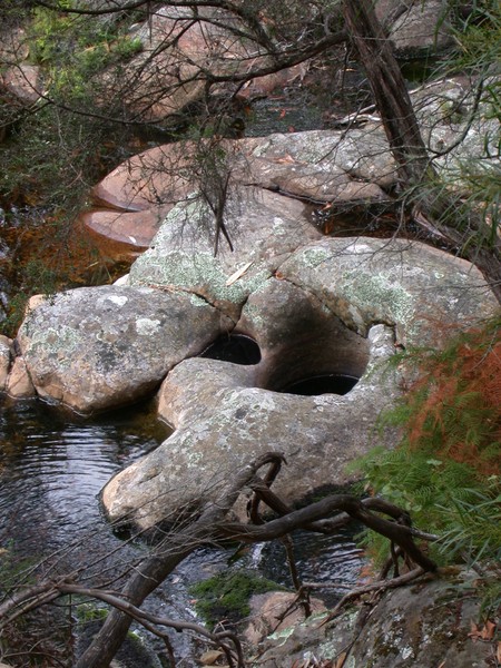 Water Holes